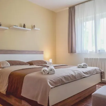 Apartment Vlado *